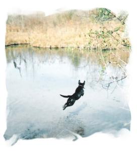 JUMP BOOGAR